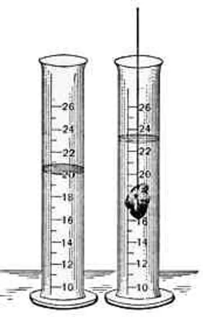 Illustration displacement - Image 4