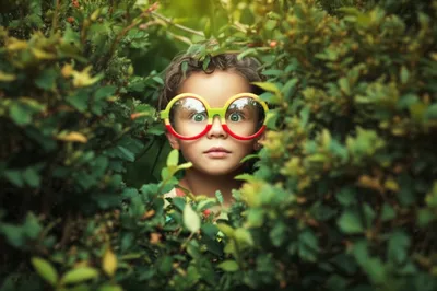 Illustration specs - Image 1